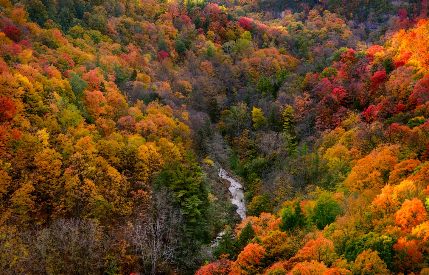 Nature