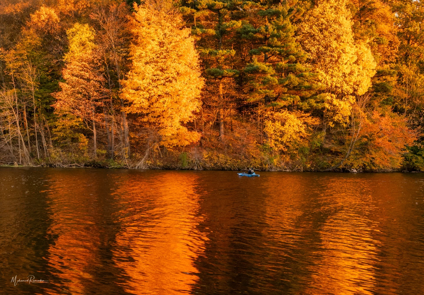 Golden Hour